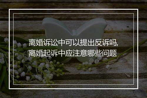 离婚诉讼中可以提出反诉吗,离婚起诉中应注意哪些问题