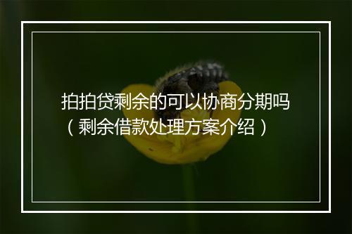 拍拍贷剩余的可以协商分期吗（剩余借款处理方案介绍）
