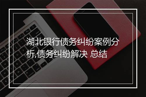 湖北银行债务纠纷案例分析,债务纠纷解决 总结