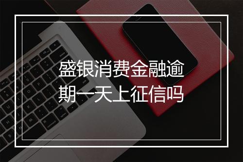 盛银消费金融逾期一天上征信吗