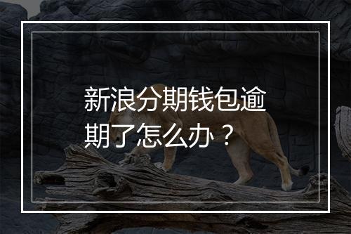 新浪分期钱包逾期了怎么办？