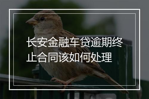 长安金融车贷逾期终止合同该如何处理