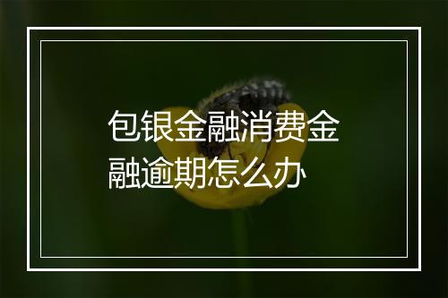 包银金融消费金融逾期怎么办