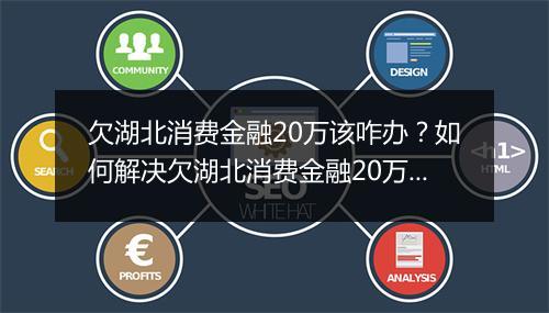 欠湖北消费金融20万该咋办？如何解决欠湖北消费金融20万的问题？