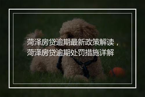 菏泽房贷逾期最新政策解读，菏泽房贷逾期处罚措施详解