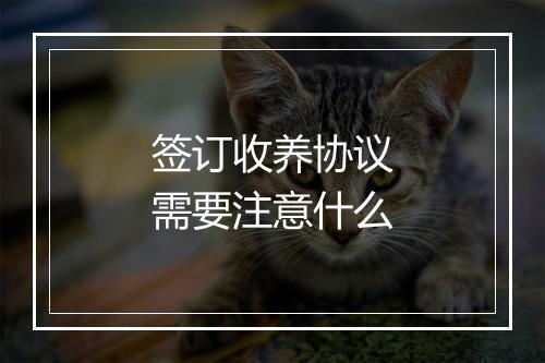 签订收养协议需要注意什么
