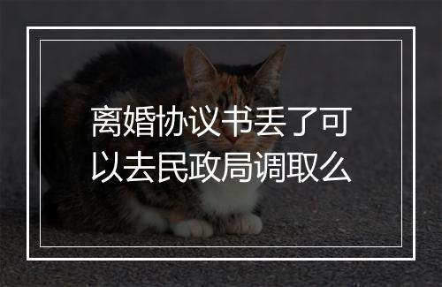 离婚协议书丢了可以去民政局调取么
