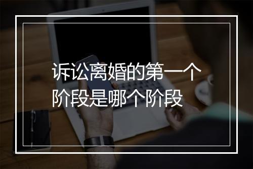 诉讼离婚的第一个阶段是哪个阶段