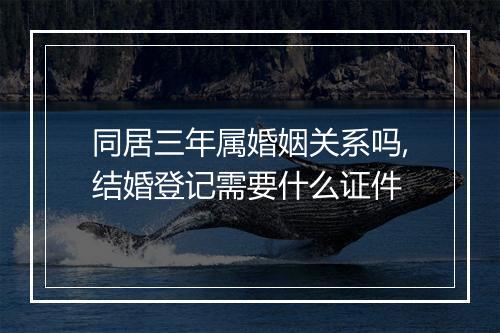 同居三年属婚姻关系吗,结婚登记需要什么证件