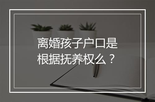 离婚孩子户口是根据抚养权么？