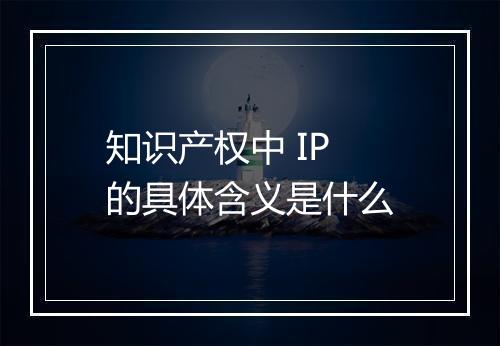 知识产权中 IP 的具体含义是什么