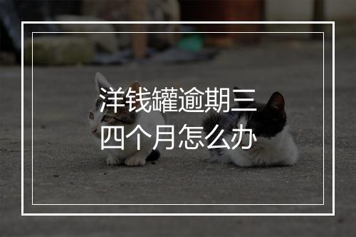 洋钱罐逾期三四个月怎么办