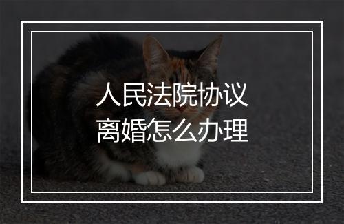 人民法院协议离婚怎么办理