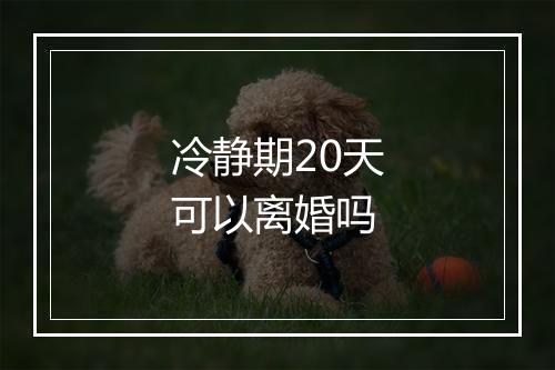 冷静期20天可以离婚吗