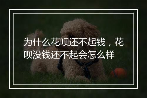 为什么花呗还不起钱，花呗没钱还不起会怎么样