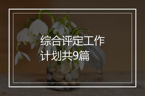 综合评定工作计划共9篇