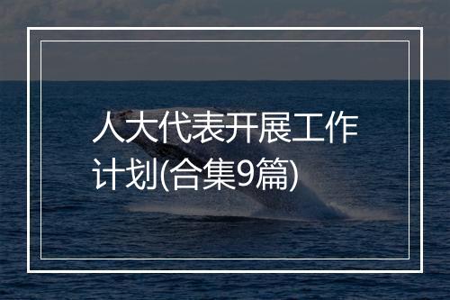 人大代表开展工作计划(合集9篇)