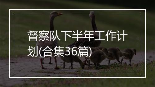 督察队下半年工作计划(合集36篇)