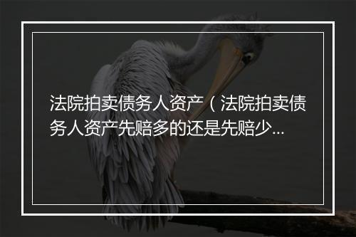 法院拍卖债务人资产（法院拍卖债务人资产先赔多的还是先赔少的）