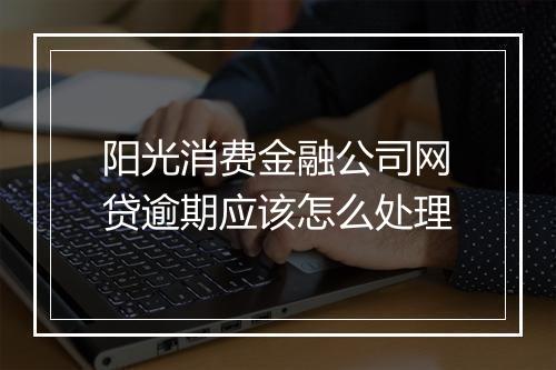 阳光消费金融公司网贷逾期应该怎么处理