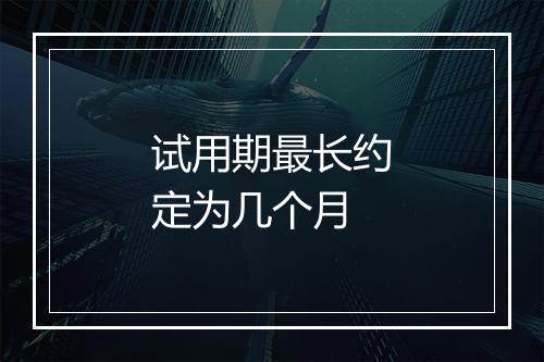 试用期最长约定为几个月