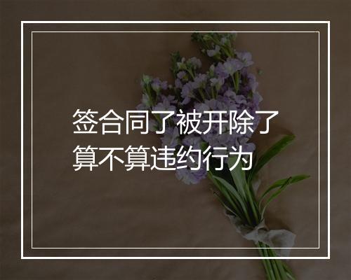 签合同了被开除了算不算违约行为