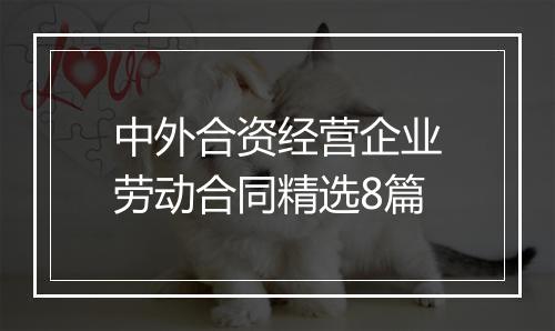 中外合资经营企业劳动合同精选8篇
