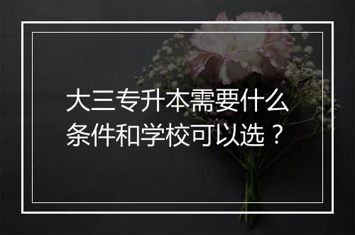 大三专升本需要什么条件和学校可以选？