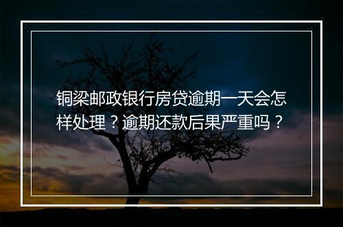 铜梁邮政银行房贷逾期一天会怎样处理？逾期还款后果严重吗？