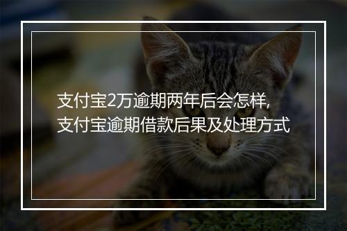 支付宝2万逾期两年后会怎样,支付宝逾期借款后果及处理方式