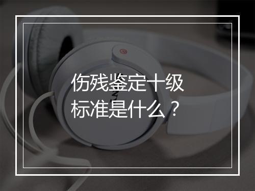 伤残鉴定十级标准是什么？