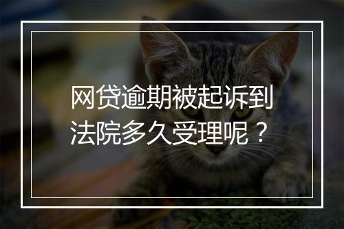 网贷逾期被起诉到法院多久受理呢？