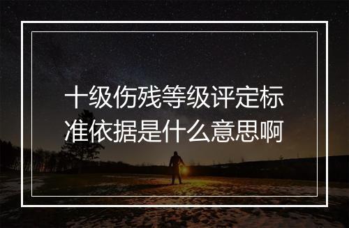 十级伤残等级评定标准依据是什么意思啊