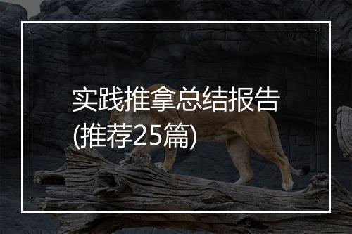 实践推拿总结报告(推荐25篇)