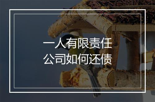 一人有限责任公司如何还债