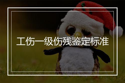 工伤一级伤残鉴定标准