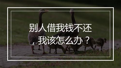 别人借我钱不还，我该怎么办？