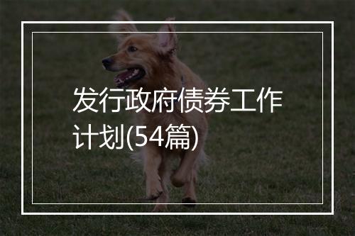 发行政府债券工作计划(54篇)
