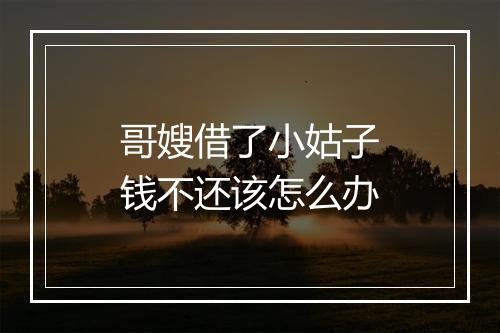 哥嫂借了小姑子钱不还该怎么办