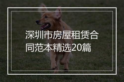 深圳市房屋租赁合同范本精选20篇