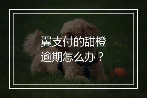 翼支付的甜橙逾期怎么办？