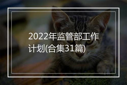 2022年监管部工作计划(合集31篇)