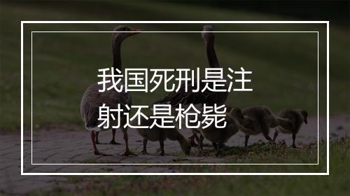 我国死刑是注射还是枪毙