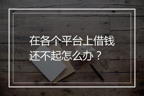 在各个平台上借钱还不起怎么办？
