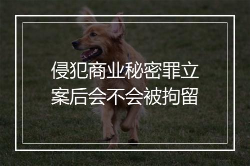 侵犯商业秘密罪立案后会不会被拘留