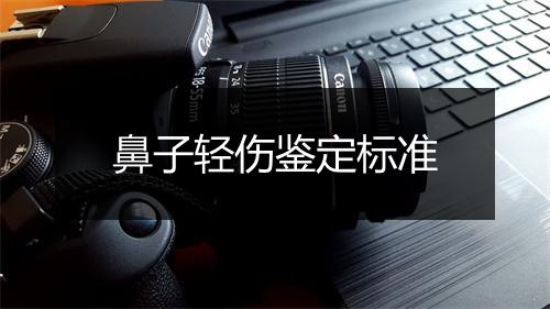 鼻子轻伤鉴定标准