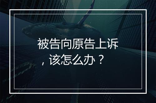 被告向原告上诉，该怎么办？