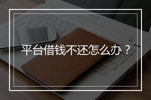 平台借钱不还怎么办？