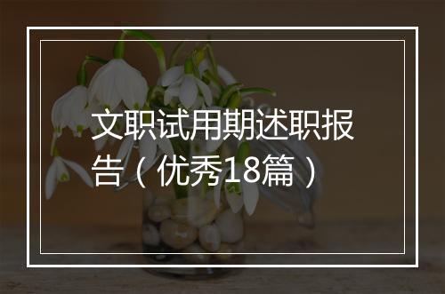 文职试用期述职报告（优秀18篇）