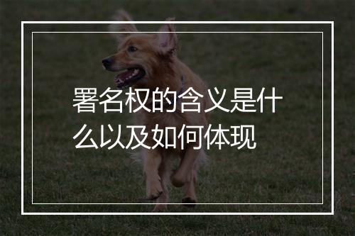 署名权的含义是什么以及如何体现